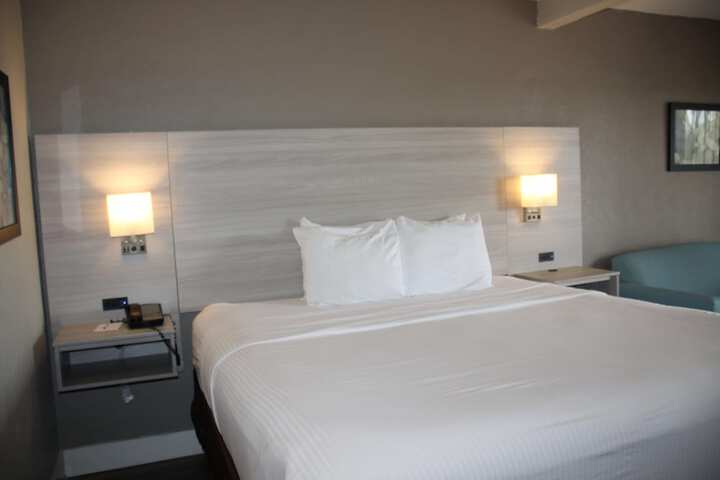 1 King Bed Accessible (1 of 16)