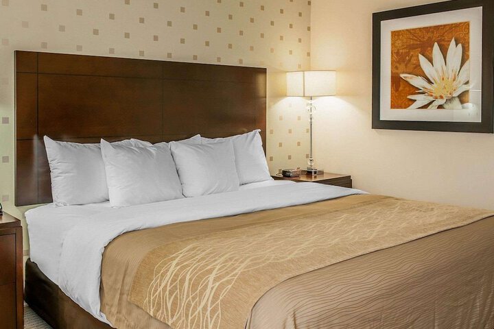 Standard | King Bed (2 of 8)