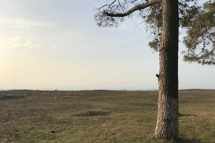 Property Grounds 32 of 45