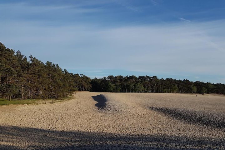 Property Grounds 8 of 14