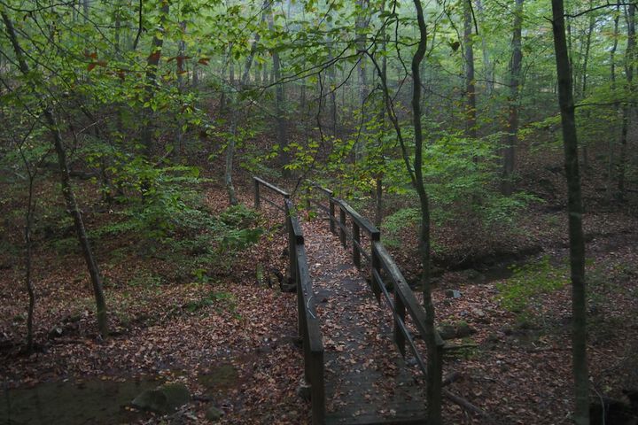 Outdoor Activities 24 of 42