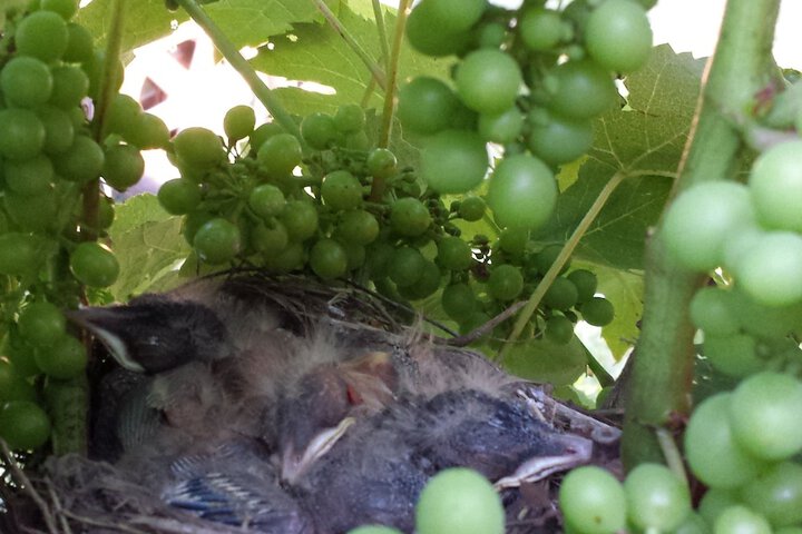 Property Grounds 24 of 29