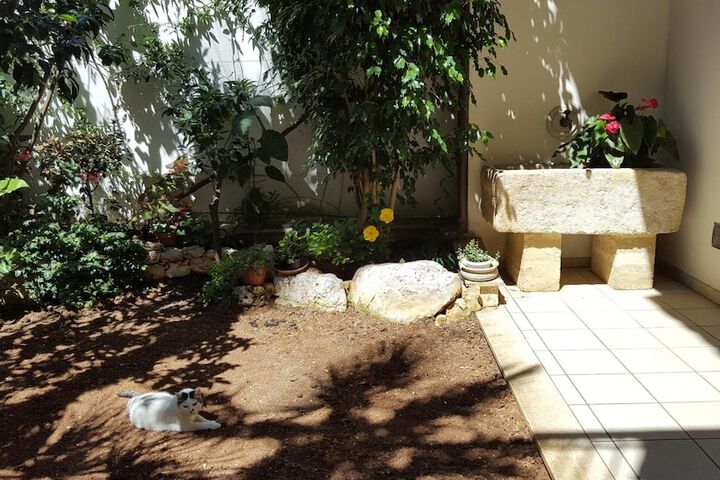 Property Grounds 28 of 34