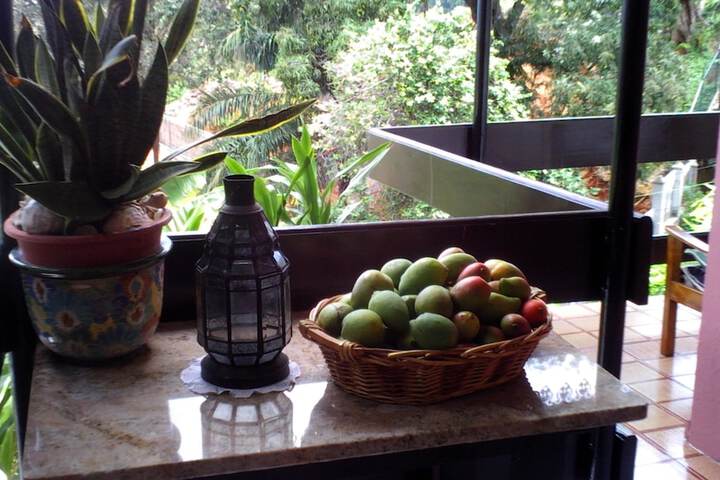 Room Service Photo