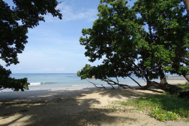 Beach 9 of 63