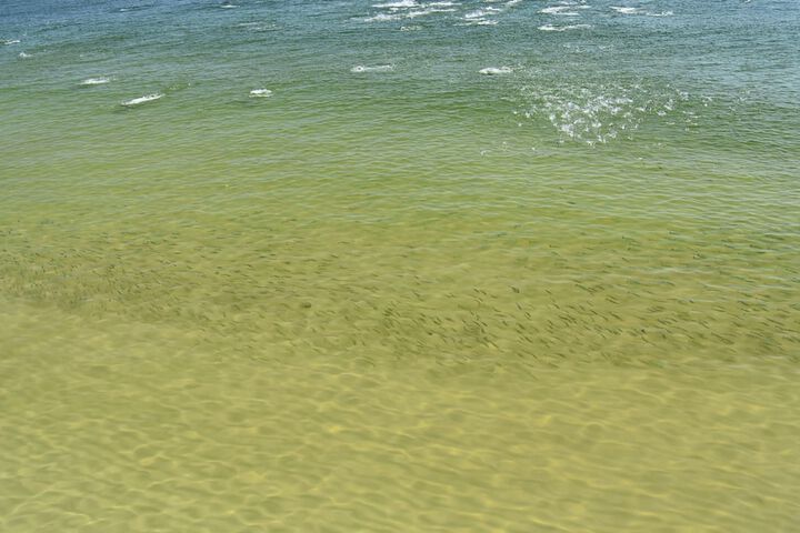 Beach 30 of 32