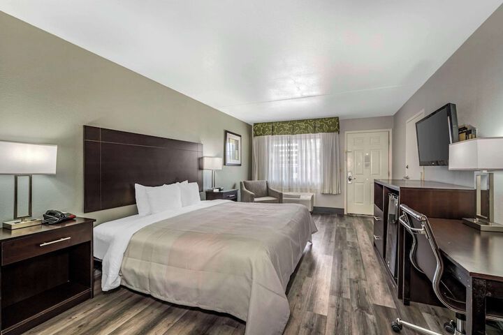 1 King Bed (9 of 12)