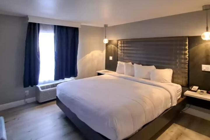 Standard King Bed Pet Friendly (8 of 8)