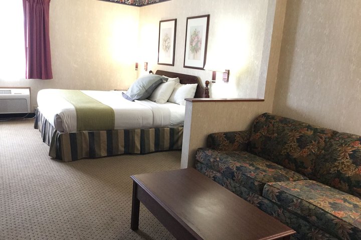 Deluxe Suite King Bed (9 of 9)