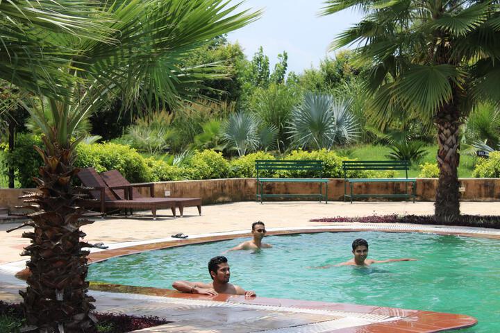 Spa and Wellness Pictures