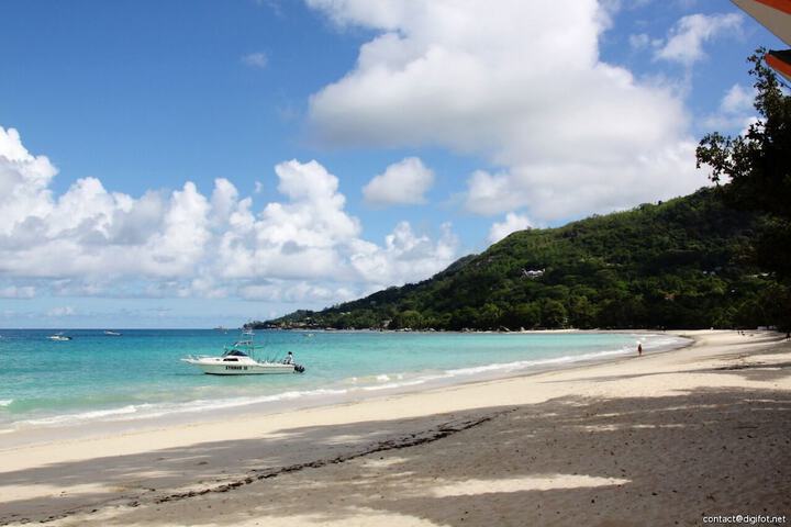 Beach 126 of 151