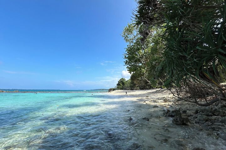 Beach 39 of 44