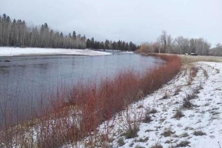 Property Grounds 31 of 45