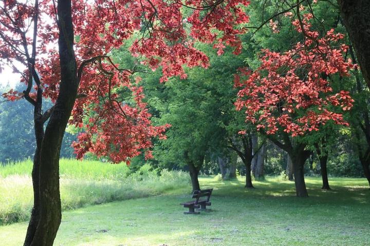 Property Grounds 19 of 25