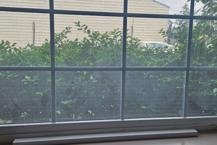 Hotel Exterior 33 of 38