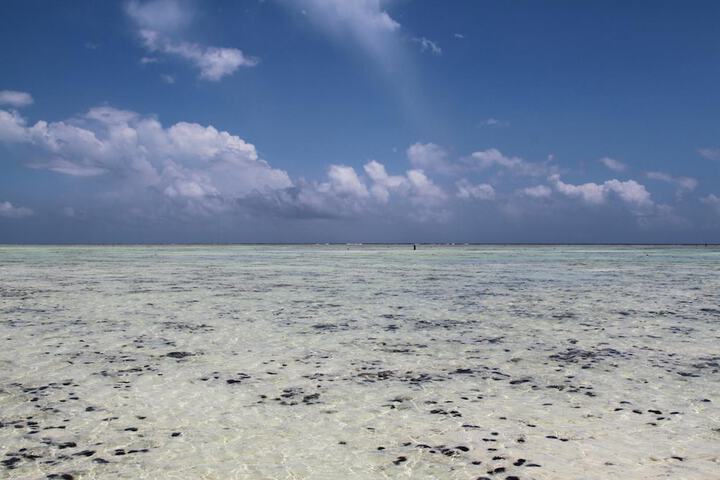Beach 58 of 64
