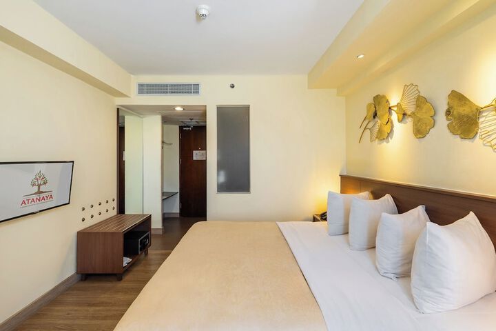 Room 31 of 65