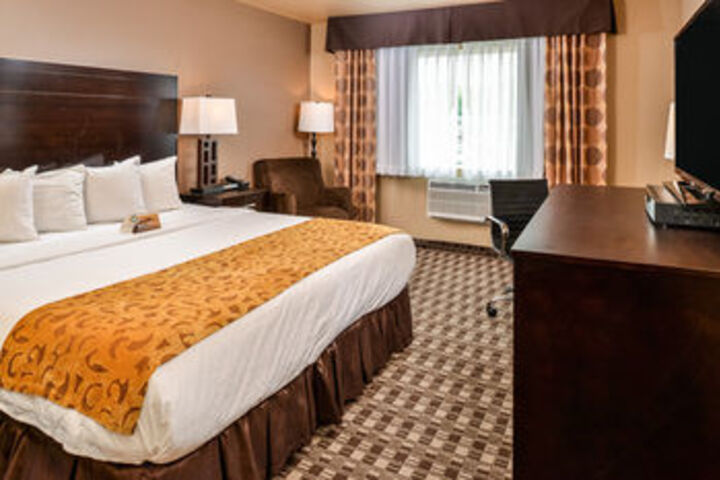 Suite Photo