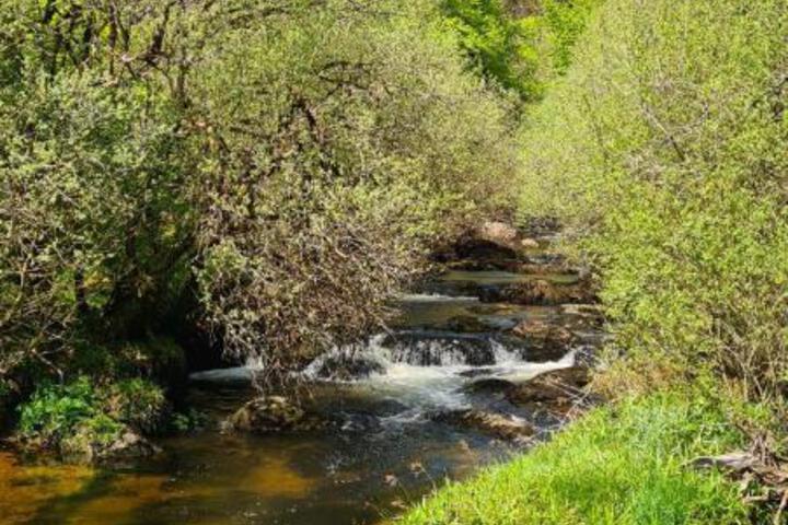 Spa and Wellness Pictures