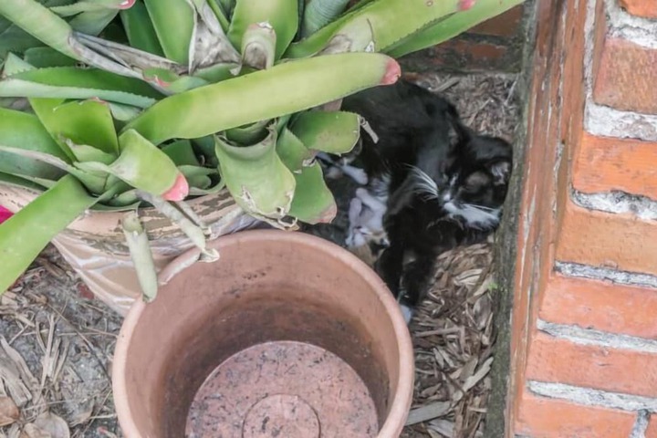 Property Grounds 54 of 62