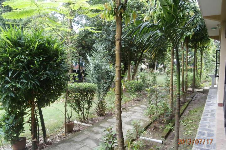 Photo 21