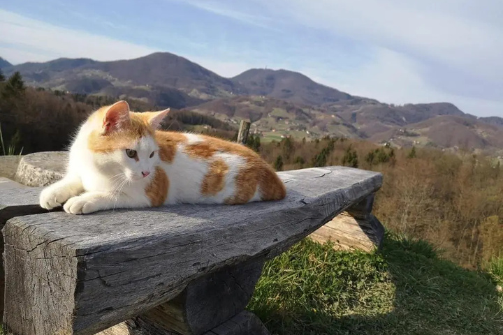 outside