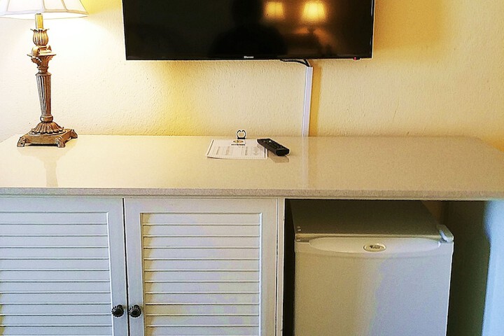 Mini-refrigerator