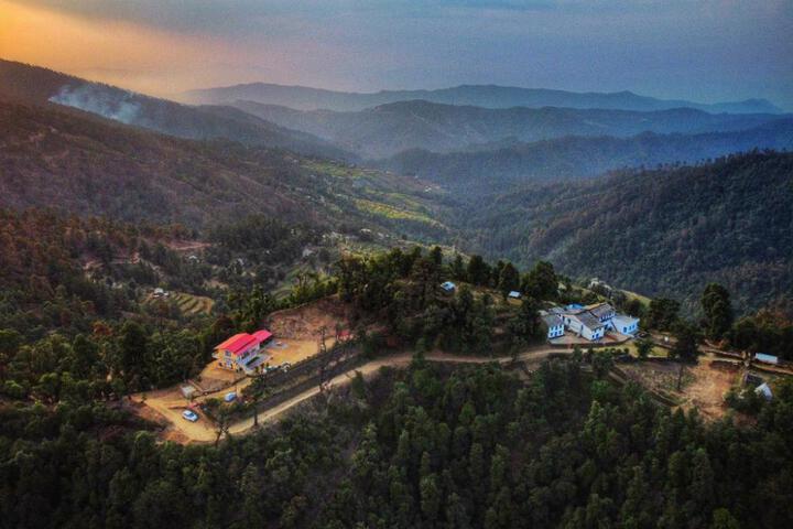 Burans Kot Jageshwar