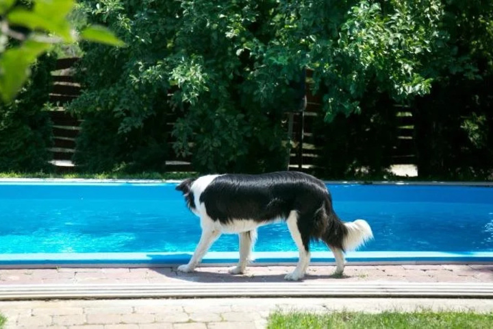 Pool 14 of 28