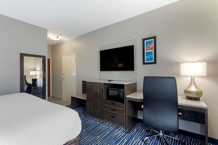 Standard | King Bed (3 of 14)