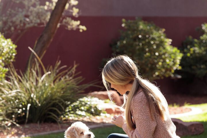 Pet-friendly