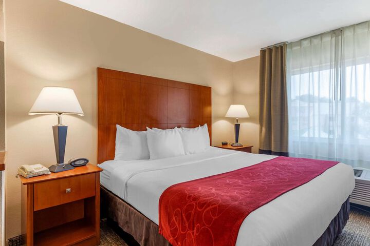 1 King Bed Suite (6 of 44)