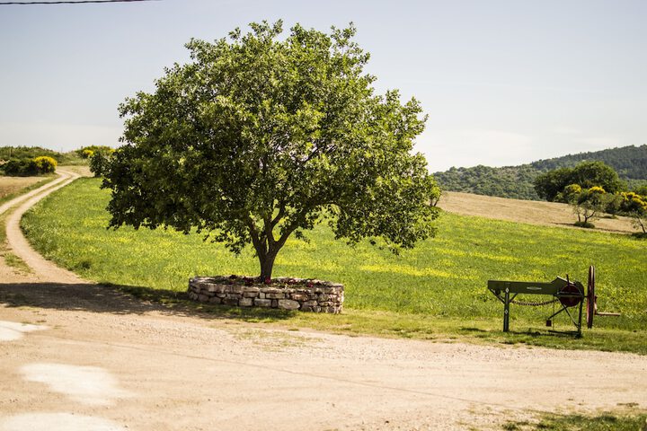 Property Grounds 27 of 32
