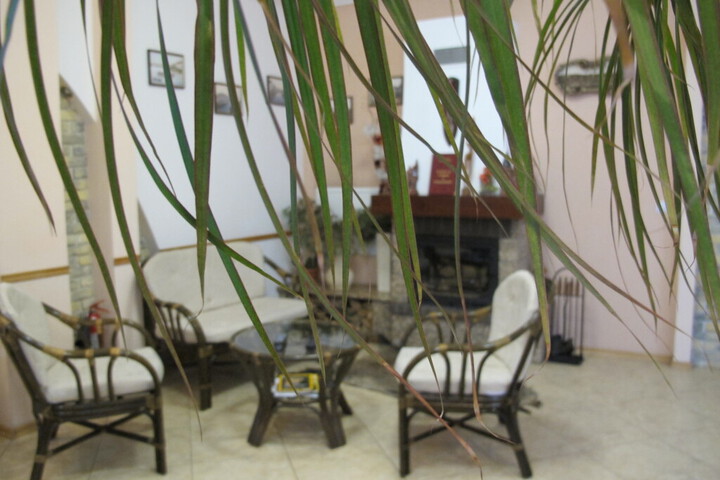 Photo 8