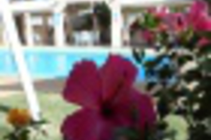 Hotel Exterior 15 of 348
