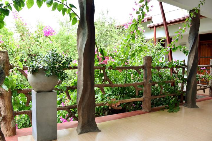 Terrace/Patio 45 of 53