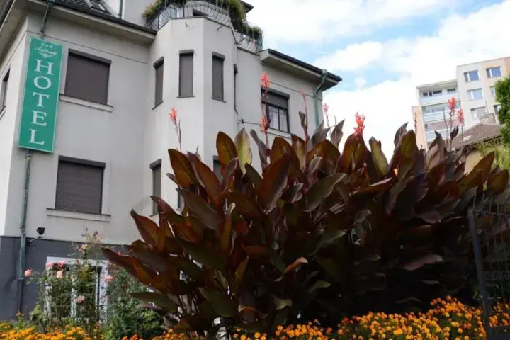 Hotel Antonie