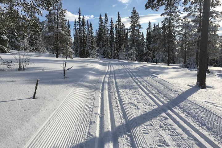 Skiing