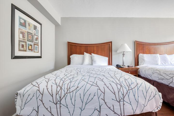 2 Queen Beds (1 of 12)