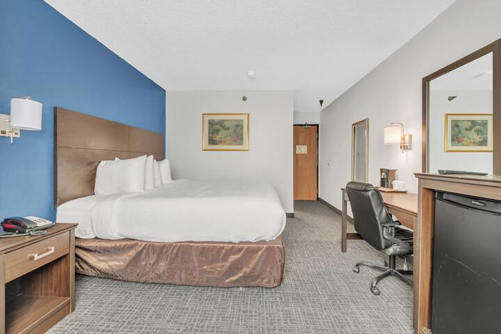 1 King Bed (2 of 9)