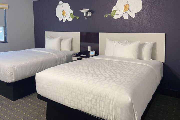 2 Queen Beds (12 of 12)