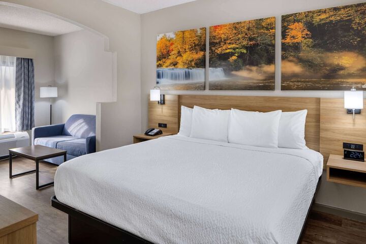 1 King Bed Accessible (9 of 13)