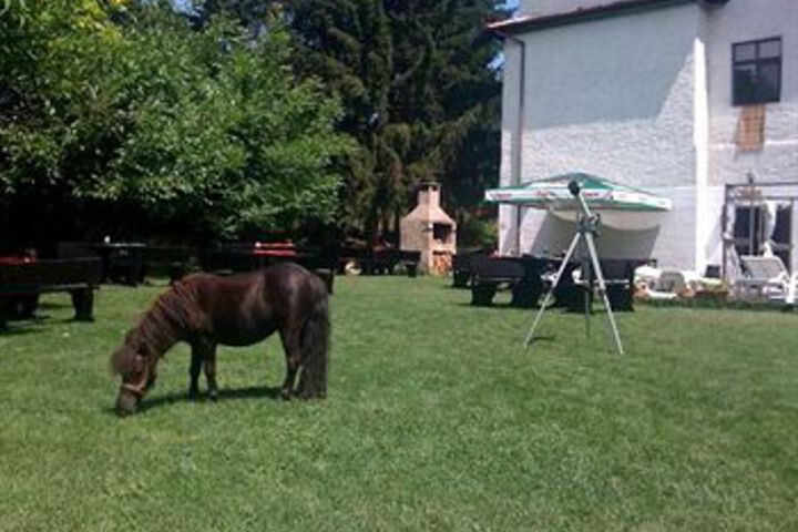 Property Grounds 19 of 23