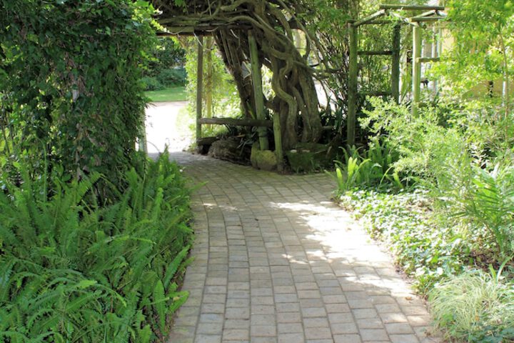 Childrens Activities 50 of 71