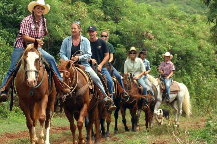 Horseback riding