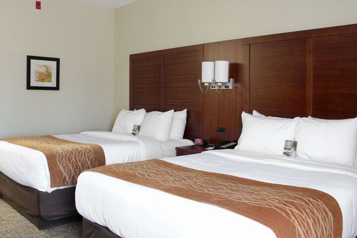 2 Queen Beds (4 of 7)
