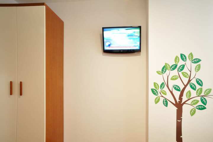 Television