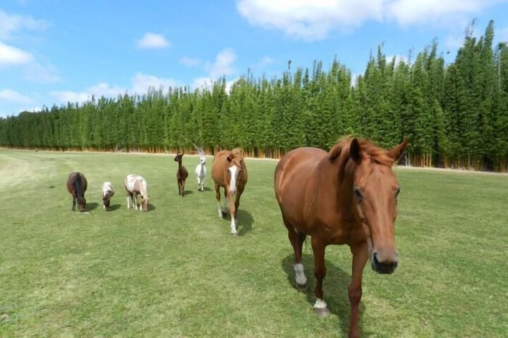 Property Grounds 26 of 45