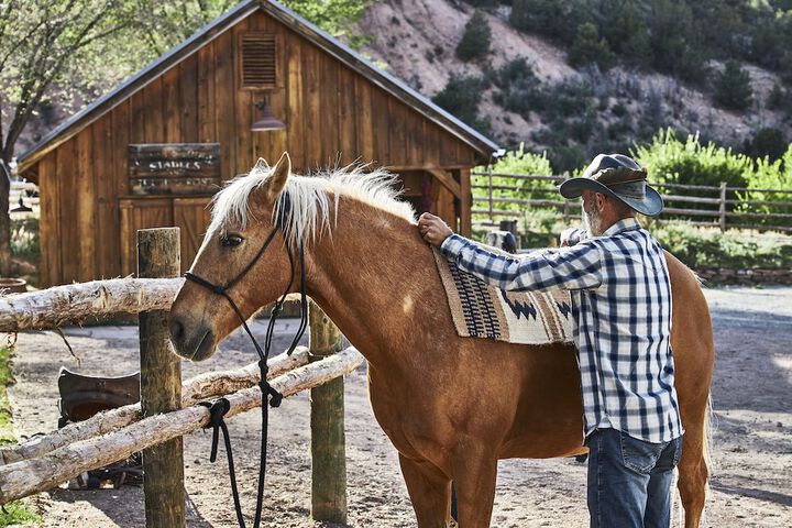 Horseback riding