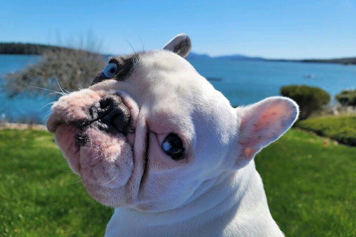 Property Grounds 44 of 53